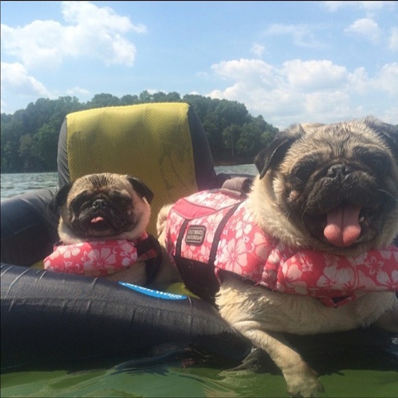 Meet your Posher, Scott - Picture 1 of 1